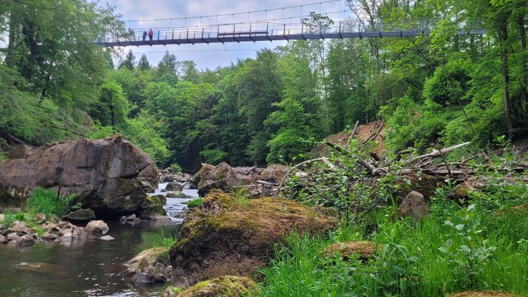 Un paysage paisible avec une petite rivière et de nombreux arbres verts. Un pont suspendu s'étend au-dessus de la rivière, ajoutant une touche particulière à l'image.