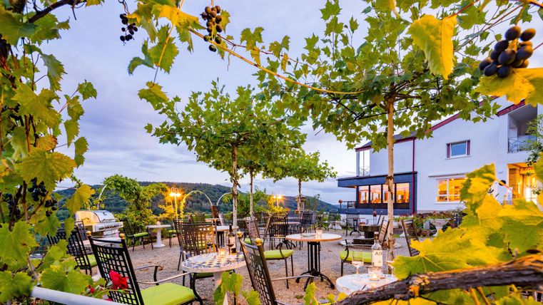 Die gemütliche Rosenterrasse mit Sitzplätzen unter Weinreben. Im Hintergrund sieht man ein charmantes Haus und eine malerische Landschaft.