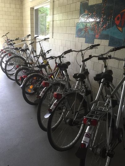 Eine Reihe von Fahrrädern steht in einem Raum. An der Wand hängt ein buntes Kunstwerk.