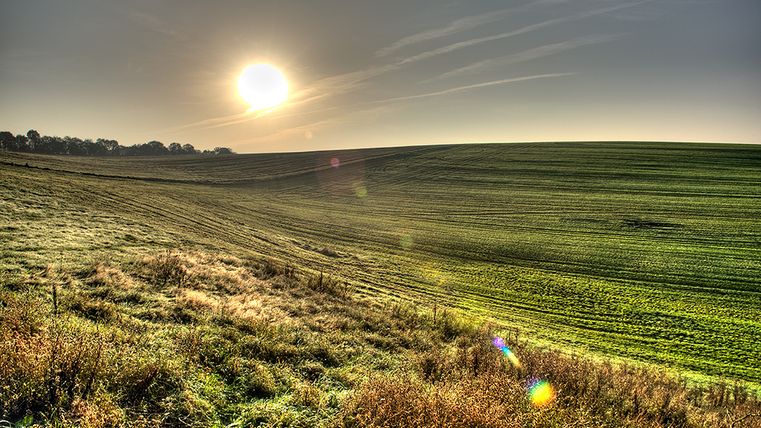 Sonnenuntergang über einer grünen Wiese mit sanften Hügeln und Bäumen am Horizont.