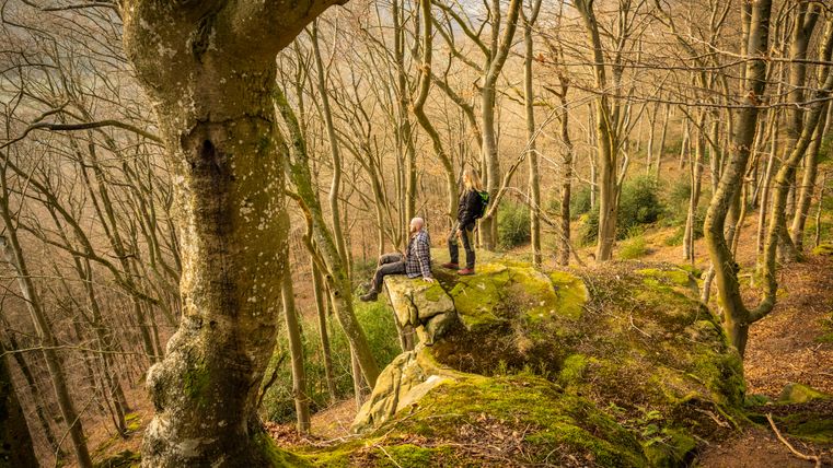 Zwei Personen auf einem moosbedeckten Felsen im Wald.
