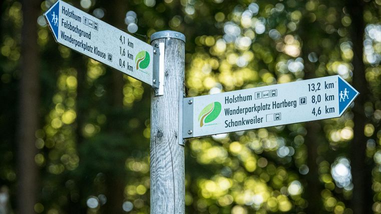 Ein Wegweiser im Wald mit verschiedenen Wanderrouten. Die Entfernungen zu Holsthum, Hartberg und Schankweiler sind angegeben.