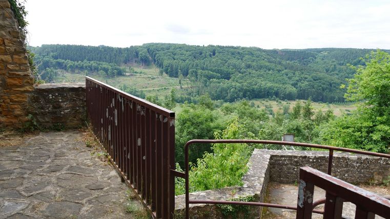 Eine Aussicht von einer Burg mit einem Geländer. Im Hintergrund sind üppige grüne Wälder und sanfte Hügel zu sehen.