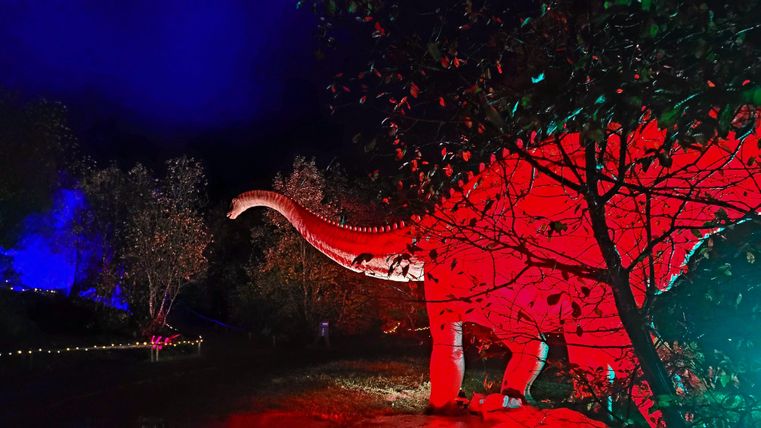 A illuminated dinosaur stands among trees in a dark environment. The scene has a mystical atmosphere due to the colorful lights.
