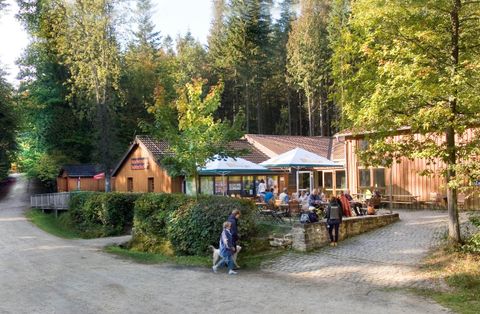 Ein gemütliches Café im Wald mit Terrassenplätzen. Umgeben von Bäumen und Wanderwegen genießen Besucher die Natur.