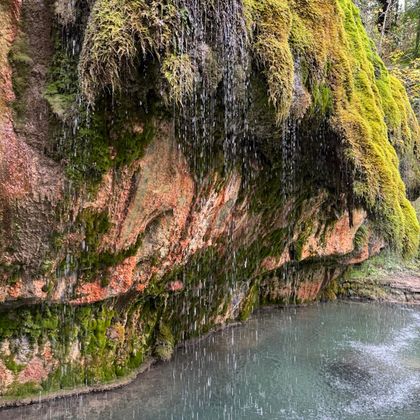 Une cascade coule sur un mur de rocher recouvert de mousse dans une eau calme et claire. Entourée d'une végétation verte luxuriante, la scène offre une ambiance paisible.