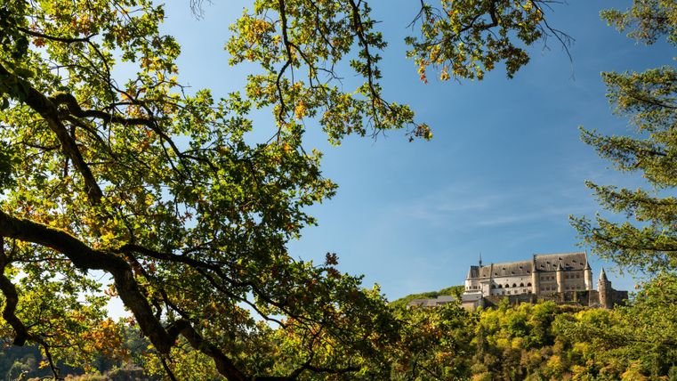 Eine imposante Burg thront über einer bewaldeten Landschaft unter einem klaren blauen Himmel. Äste von Bäumen rahmen die Sicht auf die Burg ein.