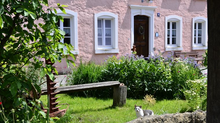 Ein rosa Bauernhaus mit weißen Fensterrahmen, umgeben von einem blühenden Garten und einer Katze im Vordergrund.