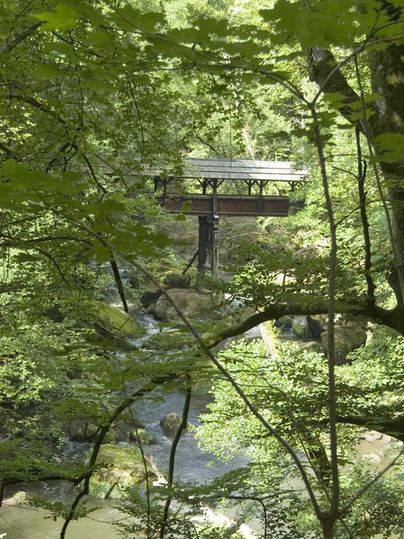Eine ruhige Landschaft mit Bäumen und einem kleinen Fluss. Im Hintergrund ist eine Holzbrücke zu sehen.