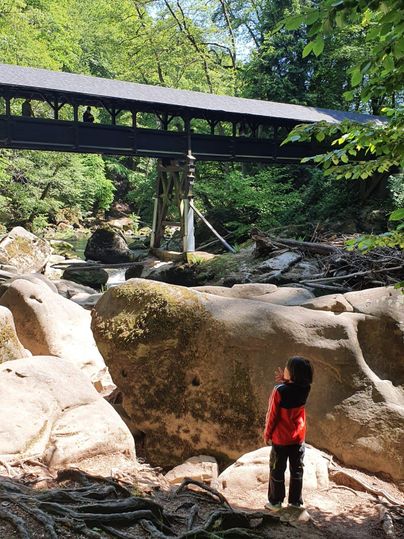 Ein Kind steht auf großen Steinen und schaut zu einer Holzbrücke inmitten von bewaldeter Umgebung. Der Ort wirkt ruhig und naturschön.