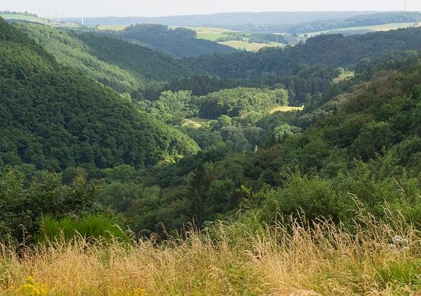 Panoramablick über das grüne Alsbachtal mit Hügeln und Wäldern.
