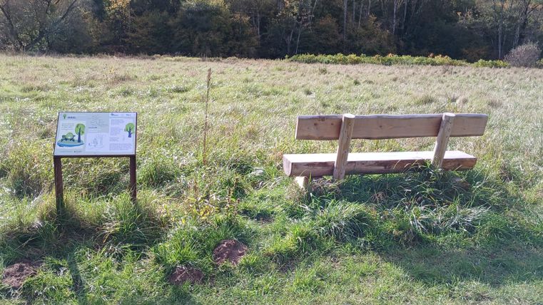Eine Holzbank und ein Informationsschild auf einer Wiese im Naturpark Südeifel.