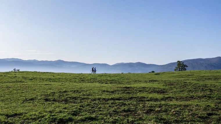 Ein weitläufiges, grünes Feld unter einem klaren, blauen Himmel. Zwei Personen gehen in der Ferne, umgeben von sanften Hügeln.