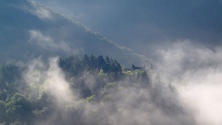 Burg Falkenstein im Nebel auf einem bewaldeten Hügel.