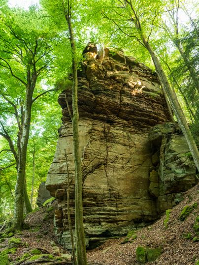 Ein großer Felsen umgeben von dichten grünen Bäumen. Das Licht fällt sanft durch die Blätter und erhellt die Szene.