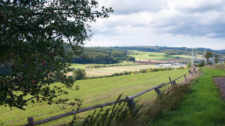 Landschaft mit grünen Feldern, Bäumen und einem Zaun im Vordergrund, Blick auf Mettendorf.