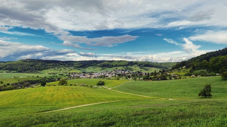 Panoramablick auf Holsthum mit grünen Feldern und bewölktem Himmel.