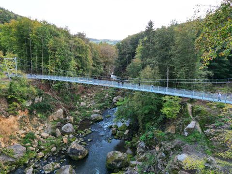 Vue aérienne du pont suspendu au-dessus des chutes d'Irrel