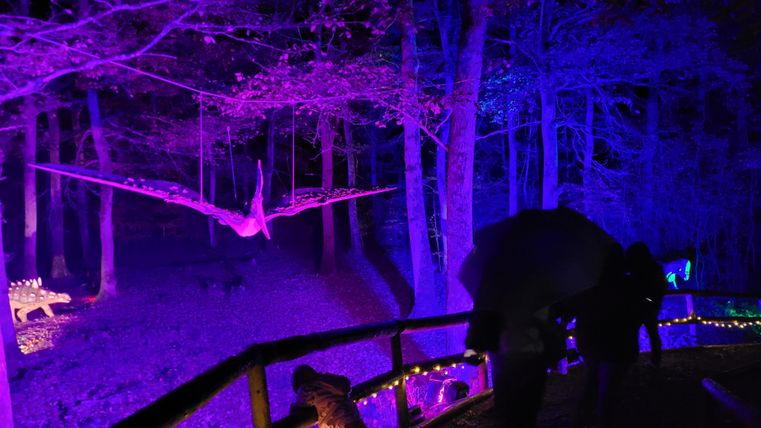 A darkly lit forest with purple and blue lights. In the background, light installations of dinosaurs fly through the trees.