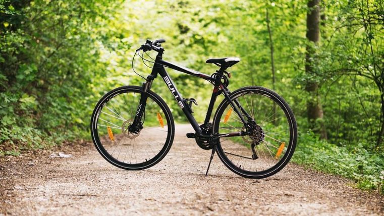 Un vélo est posé sur un chemin de gravier qui traverse une forêt verdoyante. L'environnement est luxuriant avec des arbres et des plantes.
