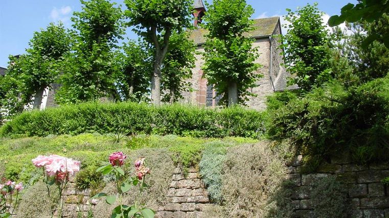 Ein Garten mit blühenden Rosen und gepflegten Hecken. Im Hintergrund ist ein Haus mit armdicken Bäumen zu sehen.