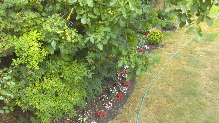 Ein schön angelegter Garten mit bunten Blumenbeeten. Dichte grüne Bäume bieten Schatten und eine einladende Atmosphäre.