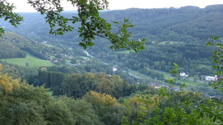Blick über das Sauertal bei Bollendorf mit üppiger Vegetation und Hügeln im Hintergrund.