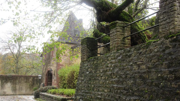 Un vieux mur en pierre avec une végétation verte et un arbre à proximité. En arrière-plan, un bâtiment historique est visible.