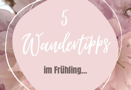 Fr&uuml;hlings-Wandertipps, &copy; Felsenland S&uuml;deifel Tourismus GmbH, Anna Carina Krebs