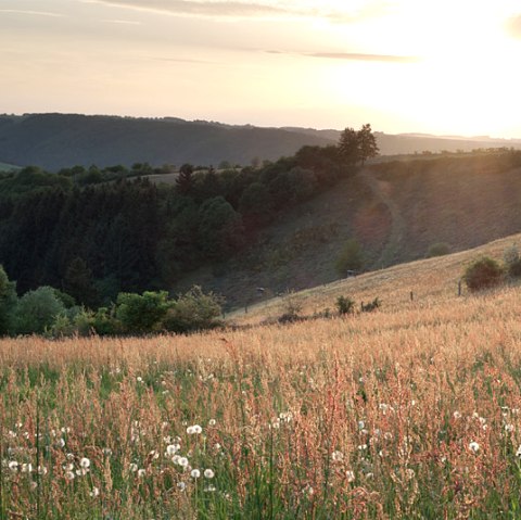 Ochtendzon over de Ourvallei, © V. Teuschler