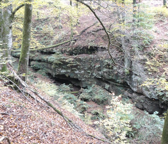 Boslandschap met gekleurde zandstenen rotsen, bedekt met mos en varens. Herfstbladeren bedekken de grond, terwijl bomen de foto omlijsten., © Felsenland Südeifel Tourismus GmbH, Christian Calonec-Rauchfuss