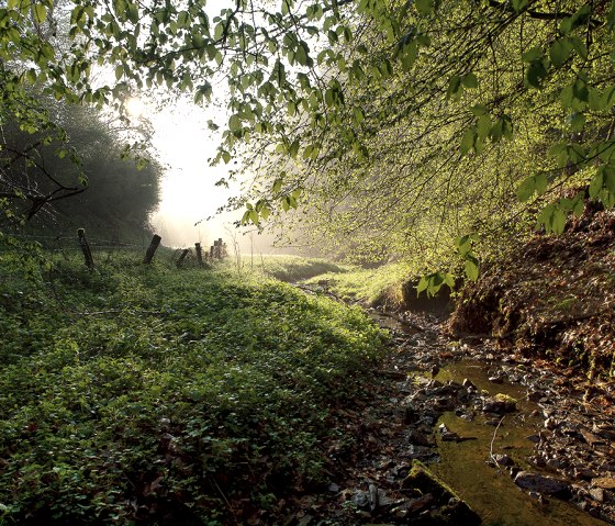 Piste de rempart Weidingen, © Naturpark Südeifel, V. Teuschler