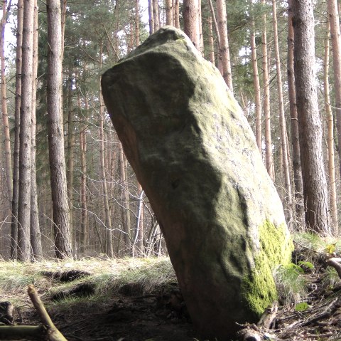 Zijaanzicht van Langenstein, © Felsenland Südeifel Tourismus GmbH