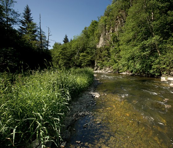 Die Our flie&szlig;t durch eine gr&uuml;ne, bewaldete Landschaft unter klarem, blauem Himmel. Der Fluss ist von &uuml;ppigem Gr&uuml;n umgeben., &copy; Naturpark S&uuml;deifel, R. Clement