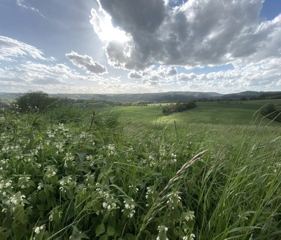 Weids uitzicht over de velden rond Gentingen, © Felsenland Südeifel Tourismus, Anna Carina Krebs