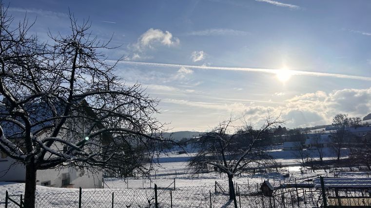 Een besneeuwd landschap met stralende zon en een blauwe lucht. Op de voorgrond zijn bomen en een hek te zien.