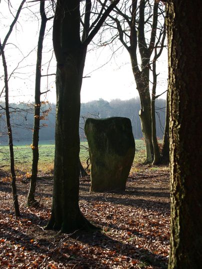 Ein steinerner Obelisk steht zwischen Bäumen in einem Wald. Die Herbstblätter bedecken den Boden und die Umgebung ist von sanftem Licht durchflutet.