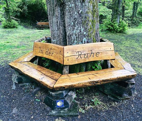 Rest bench, © Felsenland Südeifel Tourismus GmbH / Anna Carina Krebs