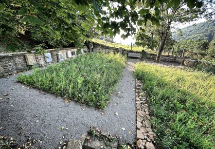 Jüdischer Friedhof Blumenwiese, © Felsenland Südeifel Tourismus GmbH, A. C. Krebs