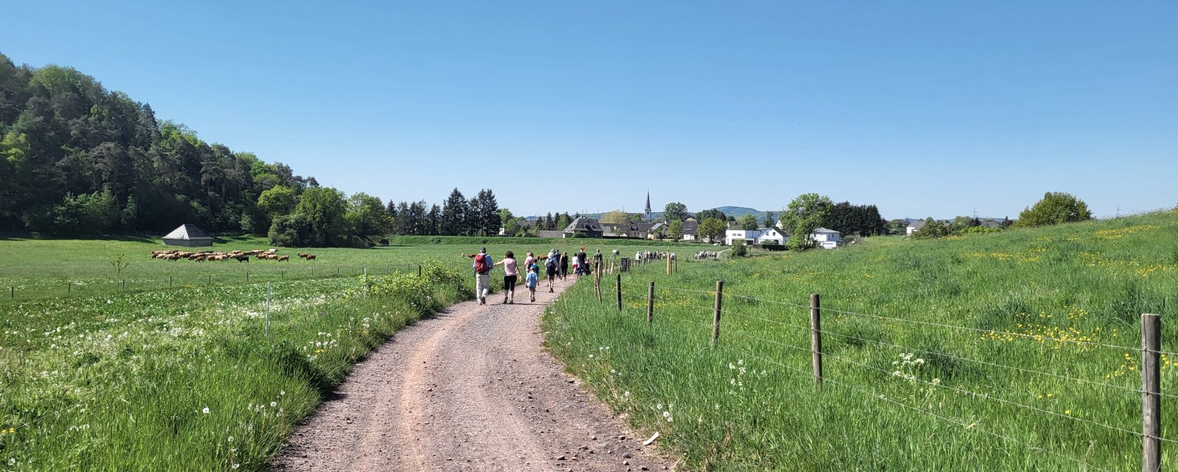 20250501_112414, © Tourist-Info Wittlich Stadt&Land