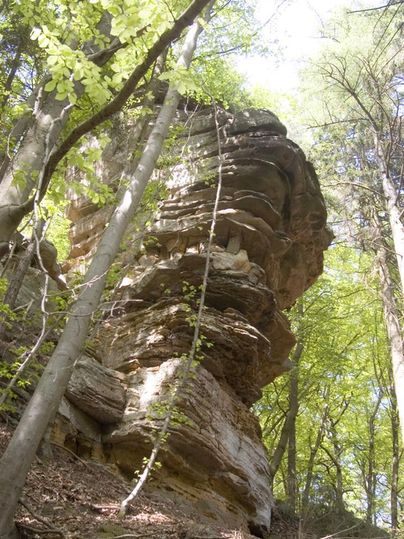 Ein malerischer Felsen in einem dichten Wald. Die Bäume rundherum sind grün und verleihen der Szene eine ruhige Atmosphäre.