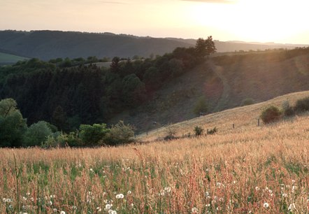 Morning sun over the Our valley, &copy; V. Teuschler