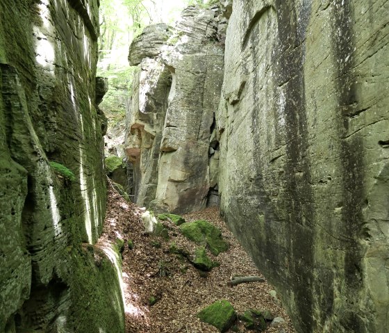 Schmale Schlucht mit hohen, moosbewachsenen Felsen. Der Boden ist mit Laub bedeckt, und Licht f&auml;llt durch die B&auml;ume., &copy; Elke Wagner, Felsenland S&uuml;deifel Tourismus GmbH