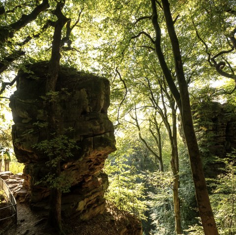 Teufelspfade, &copy; Dominik Ketz