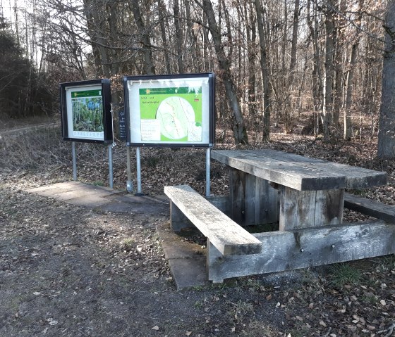 20190227_153539, &copy; Reinhold Hoffmann, Eifelverein Mettendorf-Sinspelt