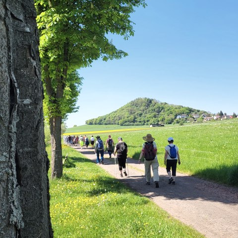 20250501_125057, © Tourist-Info Wittlich Stadt&Land