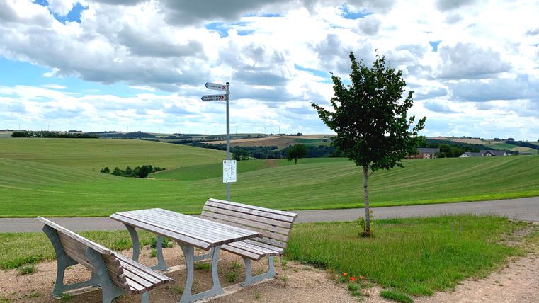 Eine Holzsitzgruppe neben einem Baum und einem Weg, dahinter die weiten grünen Felder