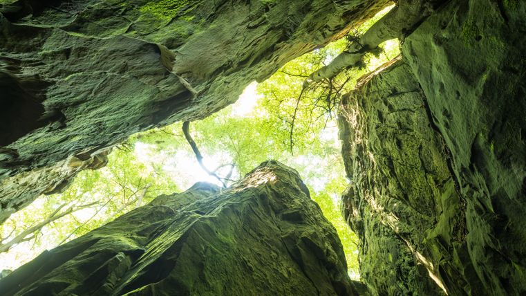 Blick nach oben in einer Schlucht mit grünen Felsen und Bäumen.