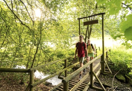 Stream trail in the NaturWanderPark delux, Ernst Bridge over the Alfbach stream, &copy; Eifel Tourismus GmbH, D. Ketz