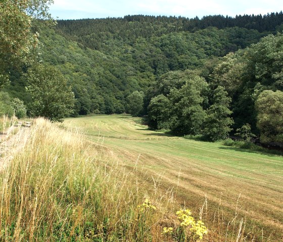 bei Gentingen, © V. Teuschler